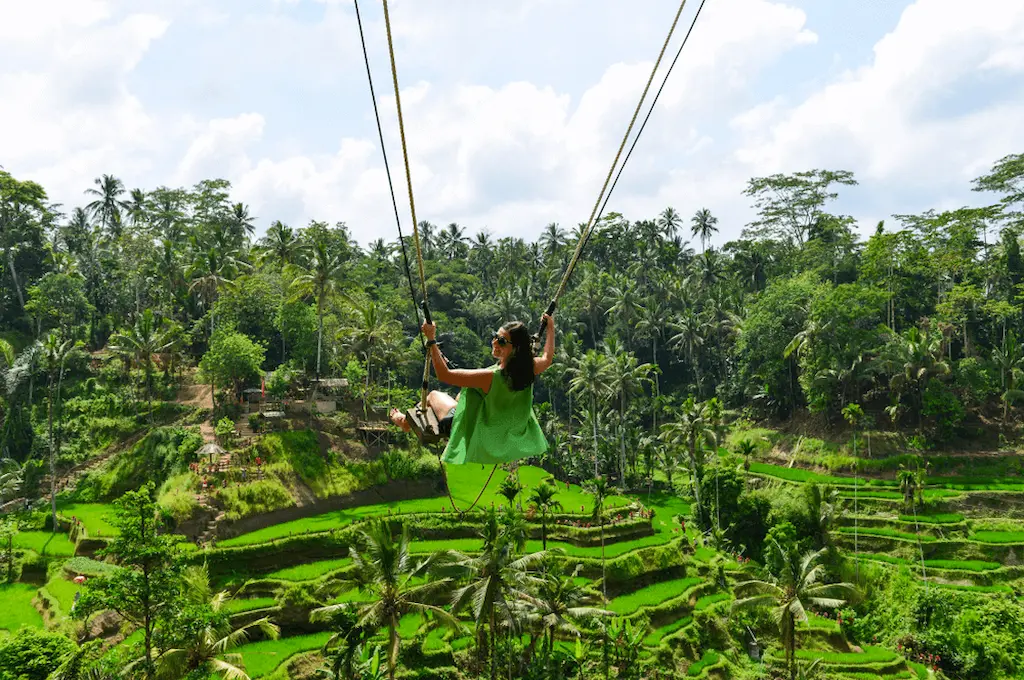 Swing Attraction with Ricefield View in Ubud